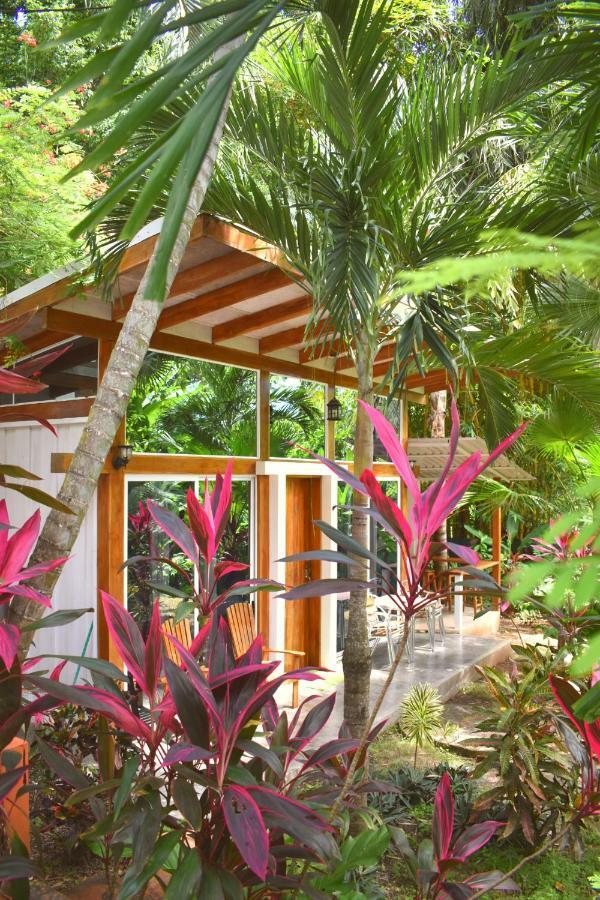 Fuego Lodge Playa Santa Teresa  Εξωτερικό φωτογραφία
